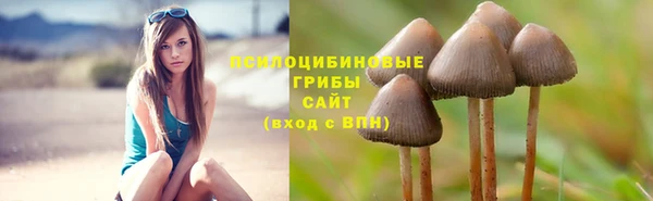 мдма Карпинск