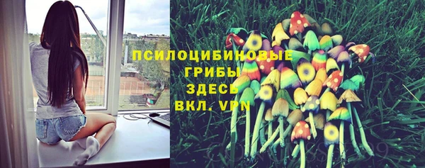 мдма Карпинск