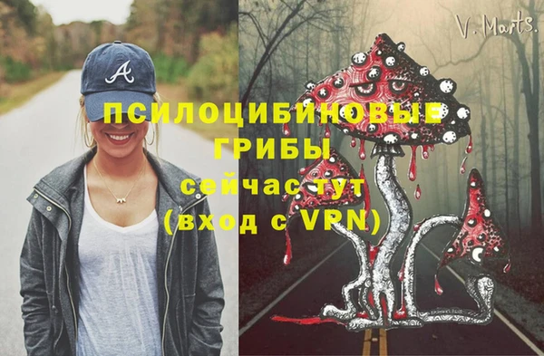 мдма Карпинск