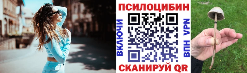 Псилоцибиновые грибы Cubensis  купить наркоту  OMG ссылки  Карпинск 