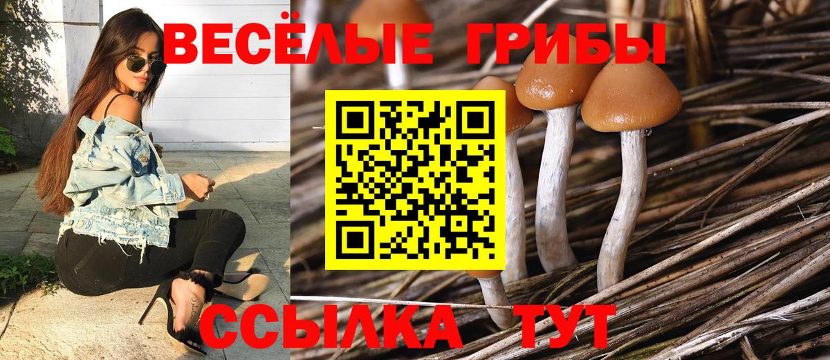 Карпинск  Галлюциногенные грибы ЛСД  Галлюциногенные грибы мухоморы  Вход с VPN 